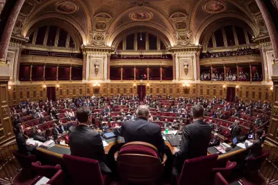 Le RN crée son premier groupe au Sénat avec au moins 14 élus