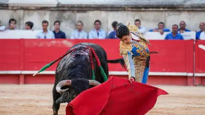 Marco Pérez : un solo historique aux arènes de Nîmes
