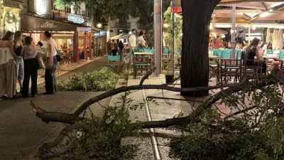 Montpellier : des branches tombent sur la terrasse du Petit Nice, aucune victime
