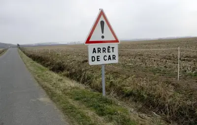 Morbihan : la vidéo d'un père sur un trajet scolaire dangereux vue un million de fois