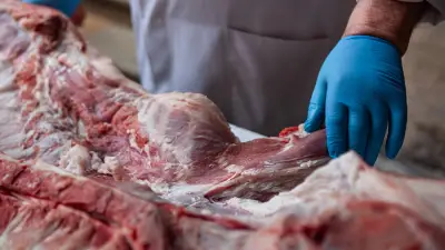 Mort d'Élise : six bouchers mis en examen pour homicide involontaire