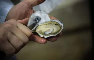 Mèze : premier championnat du monde de l'huître cuisinée