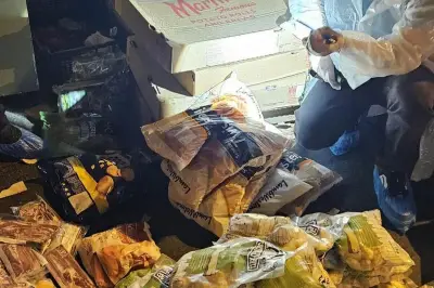 Nice : 150 kg de denrées détruits, un smash burger fermé