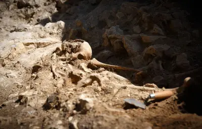 Oise : 546 squelettes médiévaux découverts à Beaurains-lès-Noyon