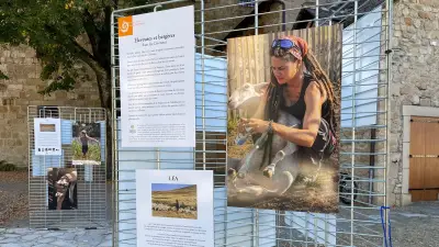 Pastoralisme : l'apprentissage du métier passe par le terrain