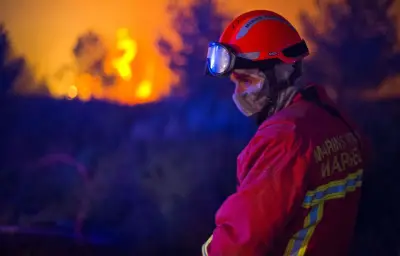 Pompiers de l'Urgence internationale : bilan et projets