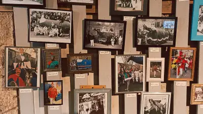 Poulain de Pézenas : une exposition pour ses 800 ans