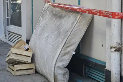 Punaises de lit à Nice : l'opposition réclame un protocole d'urgence