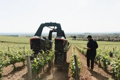 Robots dans les vignes du Beaujolais : la haute technologie au service du patrimoine