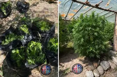 Saisie d'armes et de cannabis à Roquebillière
