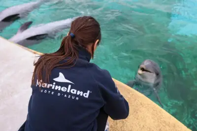 Sanctuaire pour dauphins et orques de Marineland : des sites identifiés en Méditerranée