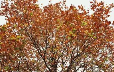 Sécheresse : 76 départements en crise, automne chaud à venir
