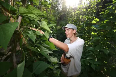 Semences locales : la maraîchère qui ressuscite les légumes oubliés