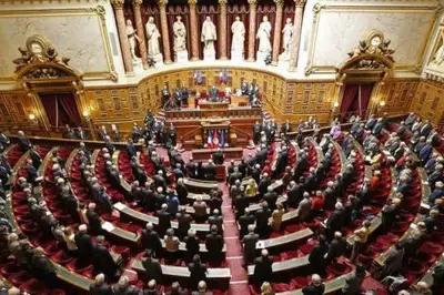 Sénatoriales 06 : l'UDR-RN favorite, la droite se déchire