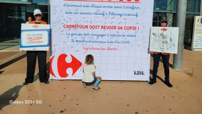 Sérignan : L214 interpelle Carrefour sur l'élevage intensif