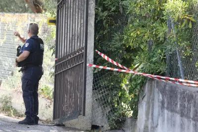 Vol au musée Renoir : l'ICOM appelle à une action urgente
