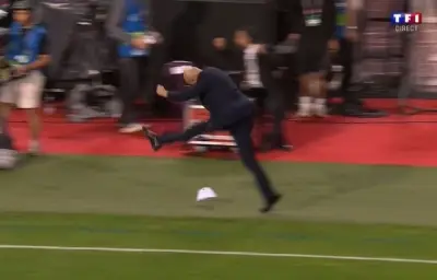 Zidane célèbre en folie le but d'Olise face à la Belgique