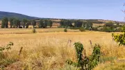 Aide agricole de 1,2 Md€ : les syndicats de l'Aveyron dénoncent un plan insuffisant