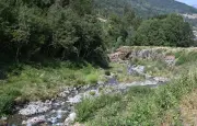 Allier : 53 % des petits cours d'eau à sec cet été