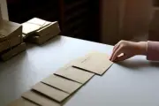 Annulation de l'élection d'un conseiller RN au Plan-de-Cuques