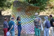 Art et biodiversité : visites prolongées au centre d'art de Châteauvert