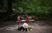 Berlin : l'arbre commémoratif de l'attentat de la marche des fiertés vandalisé