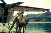 Brad Pitt et son chien dans un survival intense en Alaska