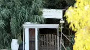 Béziers : 30 ans requis contre le conducteur qui a tué une mère de famille