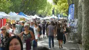 Béziers : les associations face à la pénurie de bénévoles