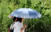 Canicule : six départements en vigilance orange jusqu'à mardi