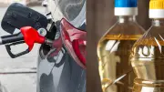 Carburant : rouler à l'huile de colza pour économiser 70 centimes par litre