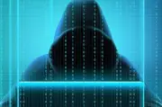 ChatNoir, 18 ans, écroué pour le piratage du fisc