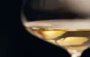 Corton-Charlemagne 2024, meilleur vin blanc du monde