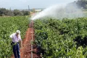 Eau à Sophia Antipolis : un tarif agricole unique dès 2027