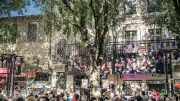 Feria des Vendanges à Nîmes : une édition 2026 en petite forme