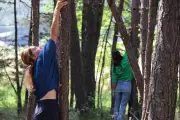 Festival Plein Air à Breil : sixième édition sur le thème du vent