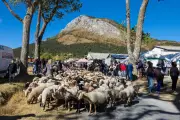 Foire de Caille à Valderoure : la propriétaire du terrain réfute tout refus