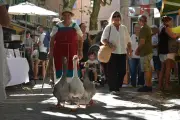 Foire à la saucisse du Val : 396e édition, un succès festif