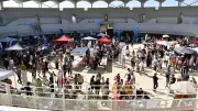 Fête des associations à Lunel : 146 structures présentes ce dimanche