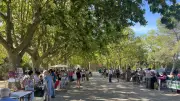 Fête des associations : succès et deux nouveautés sportives