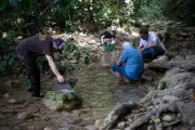 Fête du Las : les pieds dans l’eau pour découvrir les espèces du fleuve