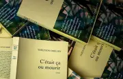 IA : un détecteur voit 95 % de chances que le roman de Thélyson Orélien soit écrit par une machine
