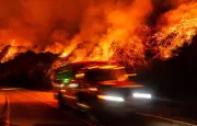 Incendie dans l'Aude : 150 habitants évacués à Puilaurens