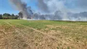 Incendie entre Mireval et Villeneuve-lès-Maguelone : deux hectares brûlés