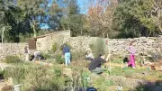 Jardins ethnobotaniques de Rousson : caméras et clôtures pour protéger le site