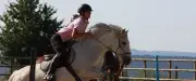 Journées du cheval : le centre Alteyrac ouvre ses portes