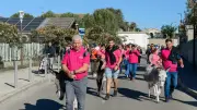 La Sein Christolaine innove avec une grande collecte de cheveux