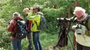 Les Aucels préparent leur deuxième saison à Saint-Pons