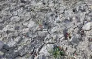 Liorac-sur-Louyre reconnue en état de catastrophe naturelle