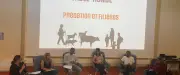 Loup : le pastoralisme en Lozère face à une prédation insoutenable